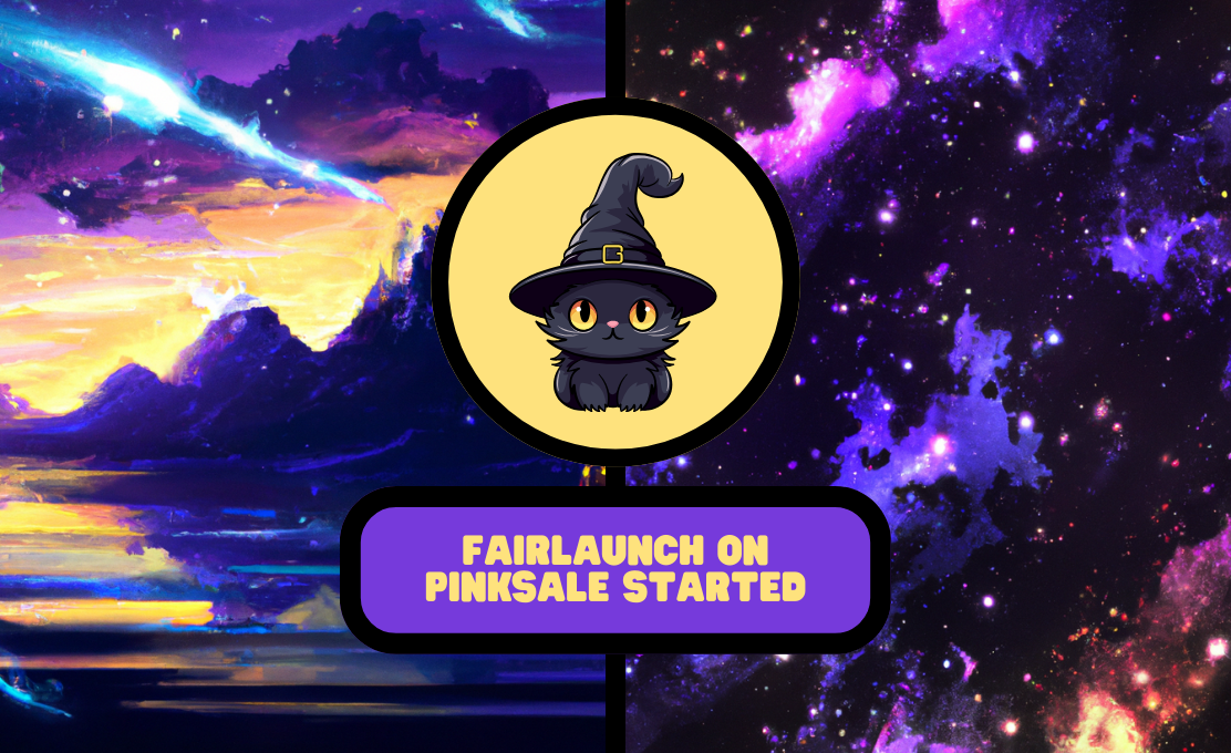 Image for Fairlaunch Start 2024.05.17 16:00 (UTC)